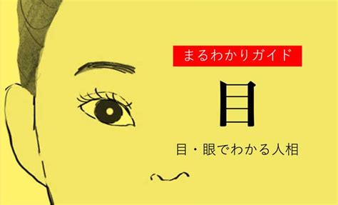 眼睛斜視 面相|目(眼)でわかる人相！目の形や特徴ごとの性格【観相。